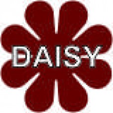 Daisy - 9 x 9 in. Magnet Die Cut